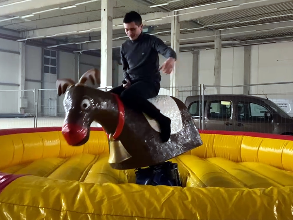 Rentier Rodeo inkl. Betreuung